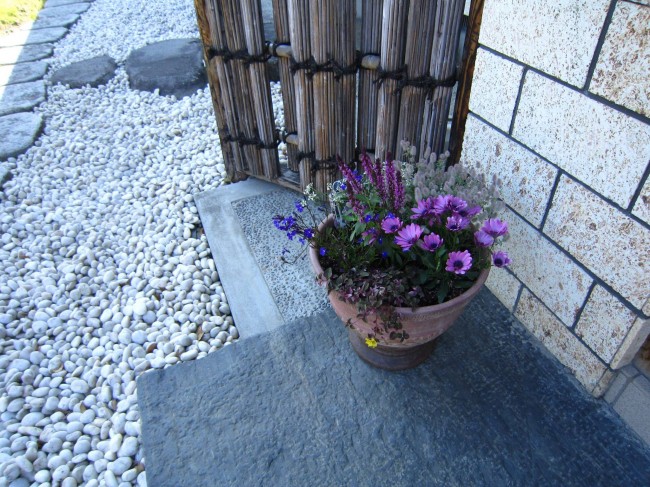 今年の草花の寄せ植え